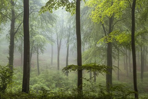 Årets landskabsfotograf 2018-foto