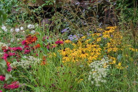 førerhundes 90 års jubilæumshave designet af adam woolcott og jonathan smith sponsoreret af førerhunde for blinde foreningen artisan garden rhs chelsea flower show 2021 stand nr 566