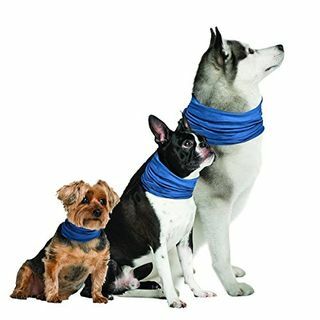 Novelle mærker K9 Chill Dog Cooling Collar (Lille / Medium 8