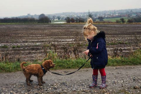 Lille pige, der taler med hunden