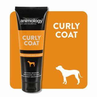 Curly Coat Hundeshampoo