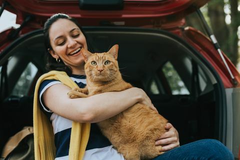 kvinde med kat i bil