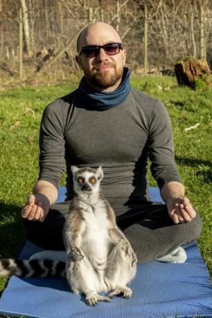 Lake District Hotel introducerer Lemur Yoga som en del af dets wellness-program