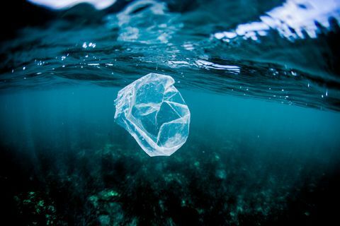 plastikpose flyder over revet i havet, costa rica