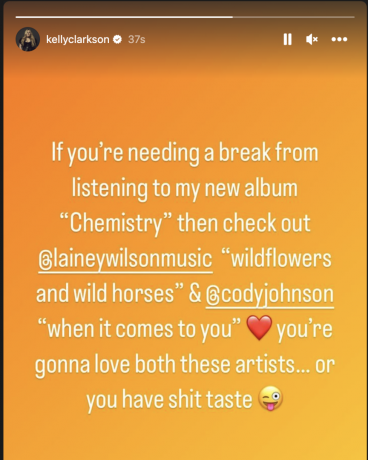 kelly clarkson instagram historie om lainey wilson