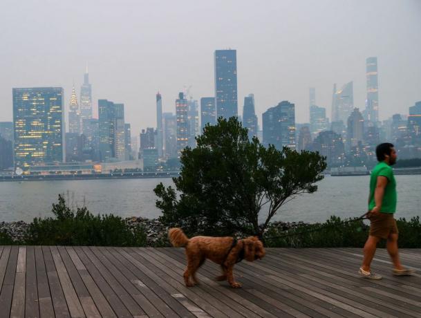 mand går tur med sin hund under dårlig luftkvalitet