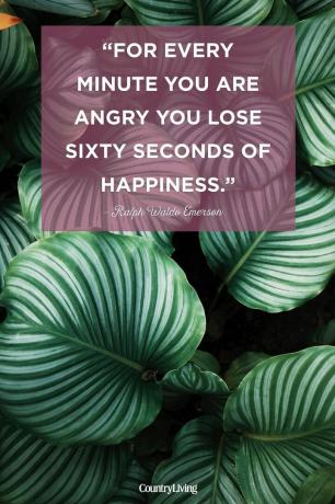 p " For hvert minut, du er vred, mister du tres sekunders lykke." s