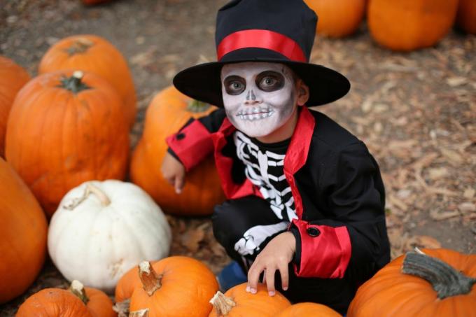 halloween børn leger trick or treat dreng i et halloween kostume af skelet med hat og smock mellem orange græskar halloween børn