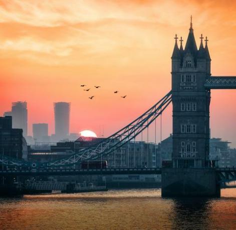 nærbillede af tårnbroen og bybilledet i London, Storbritannien, under tidlig solopgang