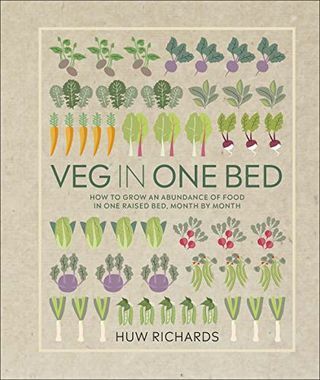 Grøntsager i én seng: Sådan dyrker du en overflod af mad i ét højbed, måned for måned