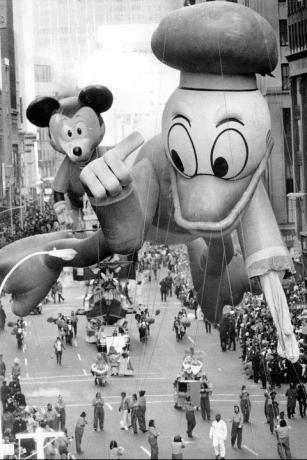 donald duck ballon sport slap vinge efter børste med trægren ved Macys parade i 1972
