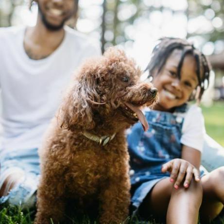 familie leger i parken med hund