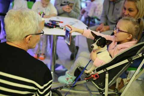 Paul O'Grady For the Love of Dogs Christmas special