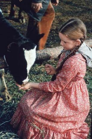 Et billede fra tv-showet Little House on the Prairie