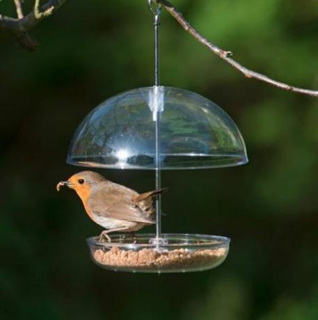 jeg elsker robins feeder rspb