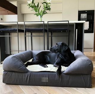 The Lounger Bed Hundeseng