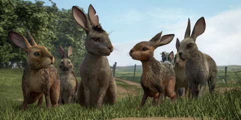 Watership Down BBC