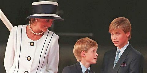 Prins William og prins Harry taler om deres beklagelse over "forhastet" sidste opkald med prinsesse Diana