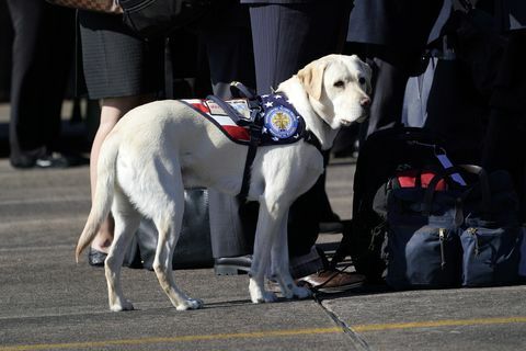 Afgang ceremoni afholdt som organ af præsident Bush fløjet til Washington DC