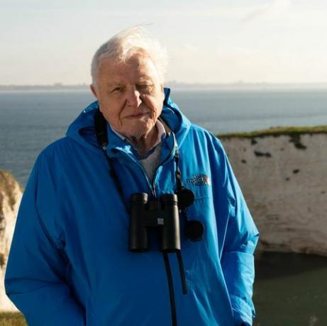 wild isles, 12 02 2023,vores dyrebare øer, 1,sir david attenborough, sir david attenborough introducerer wild isles-serien ved daggry ved old Harrys rocks, dorset, uk 2022,silverback-film, chris howard