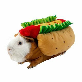 Hotdogs kostume