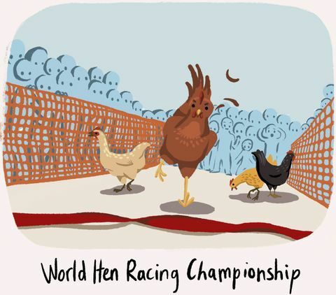 hen racing - mærkeligste britiske traditioner - Character Cottages