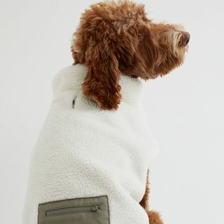 Lomme-detalje imiteret shearling hundejakke