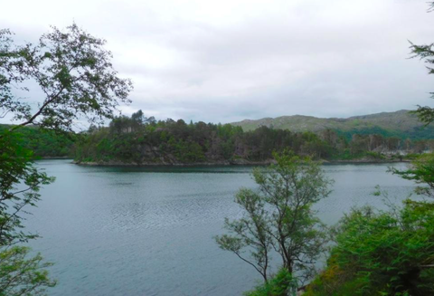 ø til salg i Skotland Deer Island