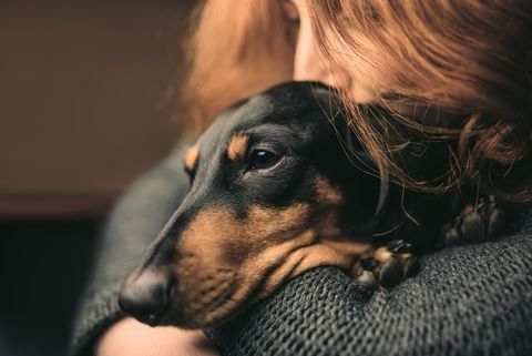 Portræt af en rødhåret kvinde, der krammer en søvnig sort hund, duchshund.