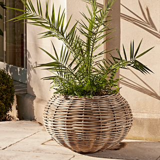 Rattan Rattan Ball Planter