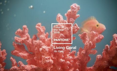 Årets Pantone-farve 2019 - Living Coral