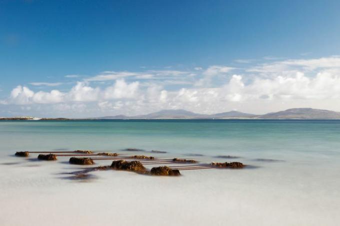tang på kysten på Eilogarry Beach; Isle Of Barra, Skotland
