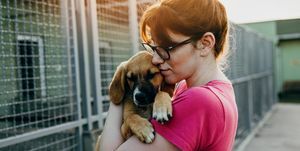 ung kvinde adopterer hund fra et krisecenter