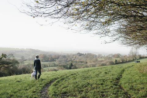 En kvinde, der går med en hund på høj grund med udsigt over landskabet.