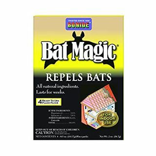 Bat Magic