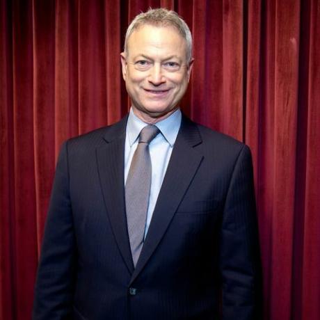 Gary Sinise, 13 grunde til