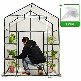 Quictent Mini Walk-in Greenhouse