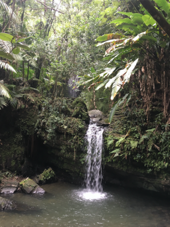 El Yunque vandfald svømmehul