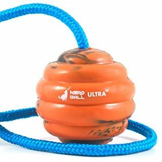 Nero Ball Ultra TM - Hundetræningsbold på et reb - motions- og belønningslegetøj til hunde