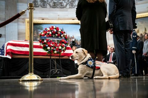 Præsident George H.W. Bush ligger i staten på den amerikanske hovedstad