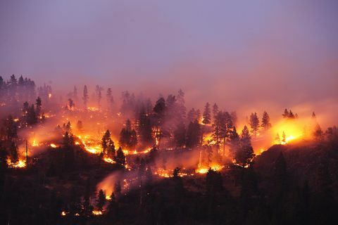 En skovbrand, der brænder siden af ​​et bjerg i Montana.