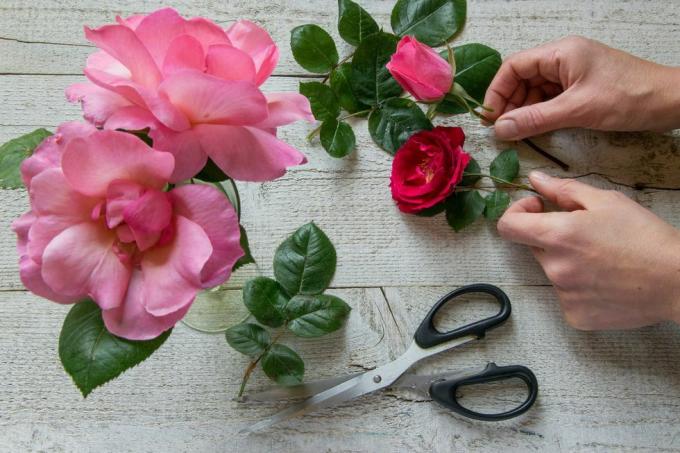 beskåret billede af blomsterhandler, der holder rose med blomster på bordet