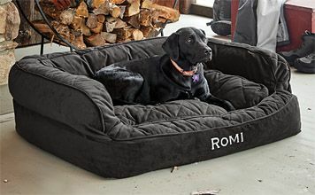 Orvis ComfortFill-Eco ™ sofa hunde seng