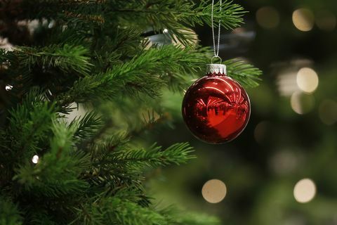 En julebauble hænger fra et træ