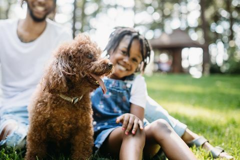 familie leger i parken med hund