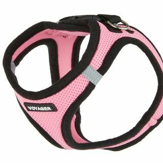 Mesh Dog Harness