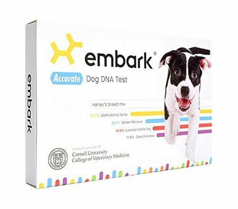 Der er et lynnedslag på Embark Dog DNA Kit til Amazon Prime Day