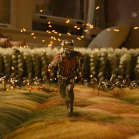 hvordan man ser alle vidunderfilmene i rækkefølge - ant-man