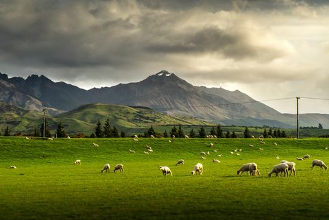 Sydøen New Zealand