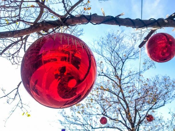 store udendørs julepynt hængende i de nøgne træer mod himlen